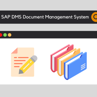 what is assignment role in sap