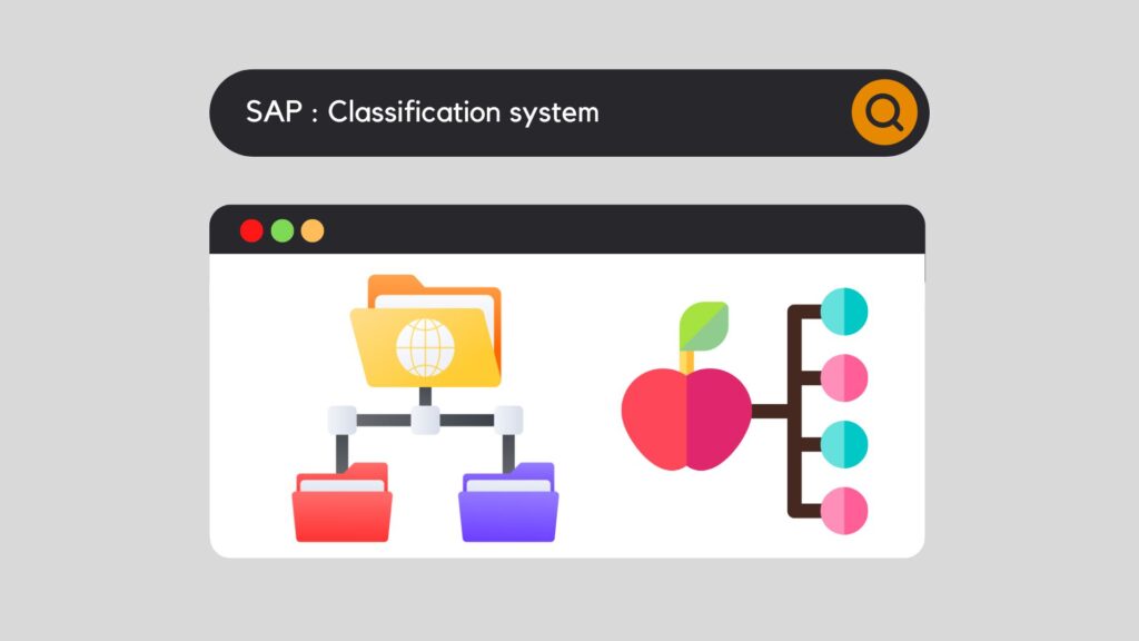 SAP - Classification system