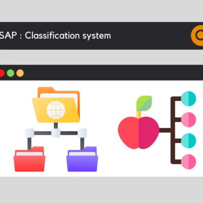 SAP Classification system