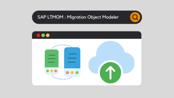 SAP LTMOM: Modelador de objetos de migración