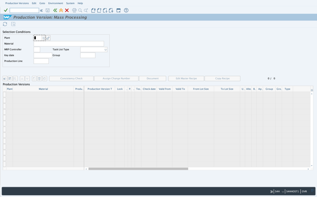 Production Version - SAP Training and Coaching