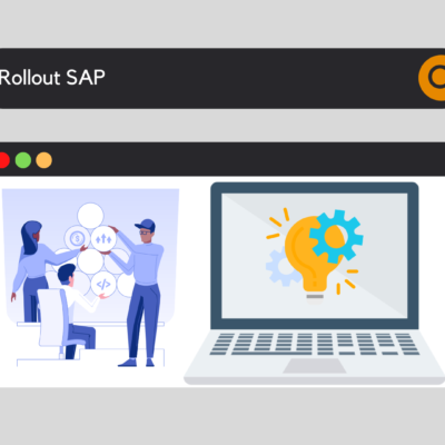 user roles assignment in sap