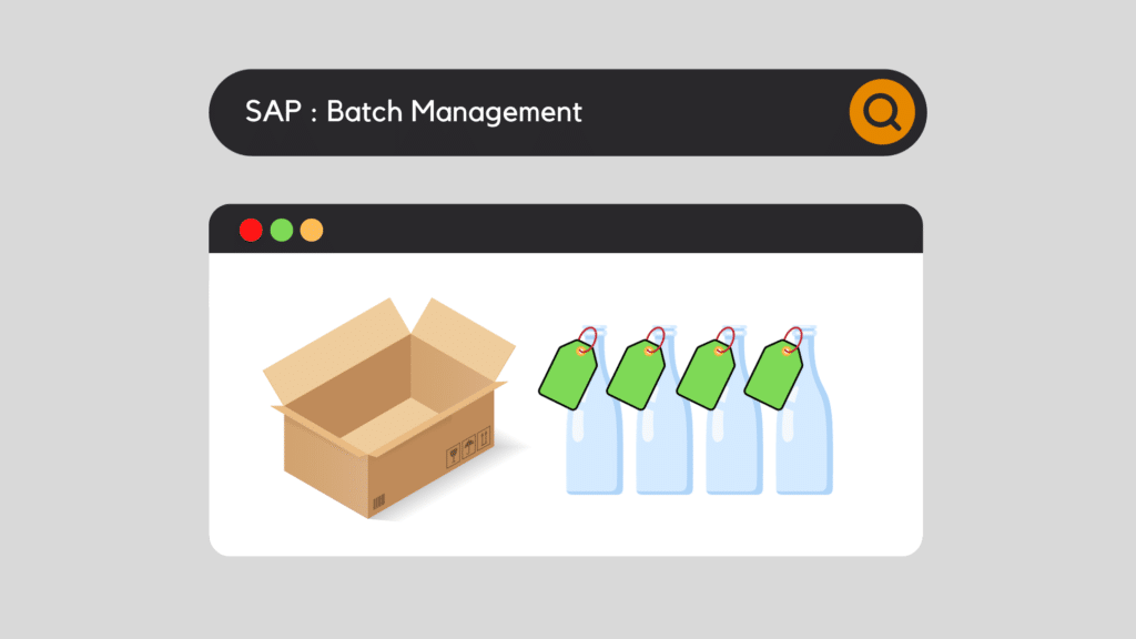 SAP Batch Management