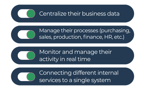 ¿Qué significa SAP?