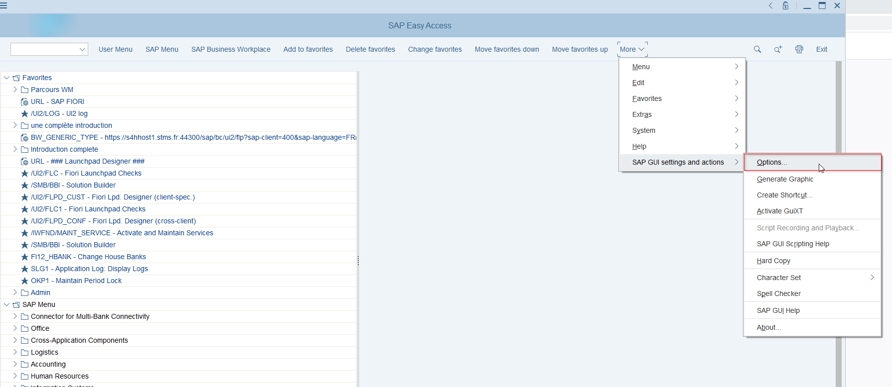 Menu More de SAP Easy Access ouvert sur SAP GUI settings and actions avec l'entrée Options encadrée