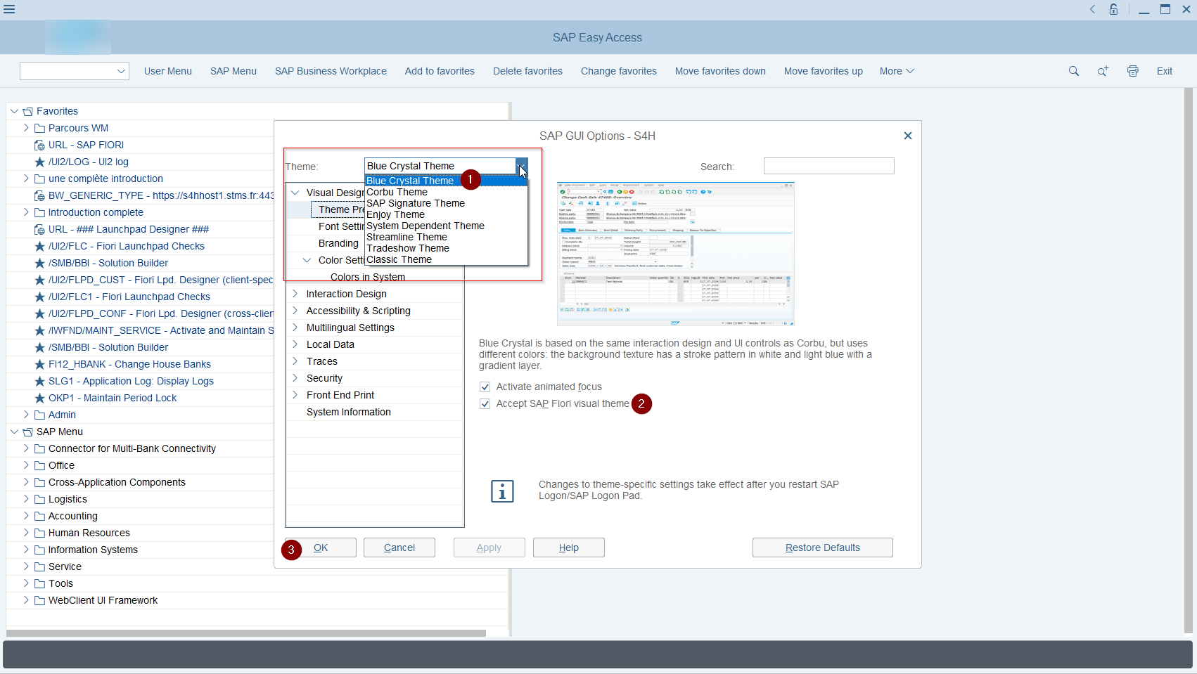 Fenêtre SAP GUI Options avec le thème Blue Crystal sélectionné et la case Accept SAP Fiori visual theme cochée