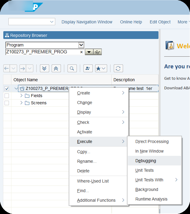 Menu contextuel de SE80 avec le chemin Execute puis Debugging sur un programme ABAP