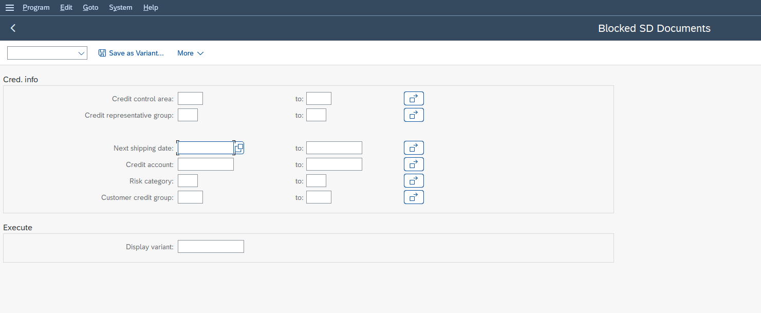 Selection screen of SAP transaction VKM1 (Blocked SD Documents): credit control area, risk category and customer credit group criteria before running the list